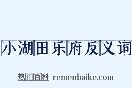 小湖田乐府反义词是什么意思的图片